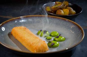 Fried blakatacke gold