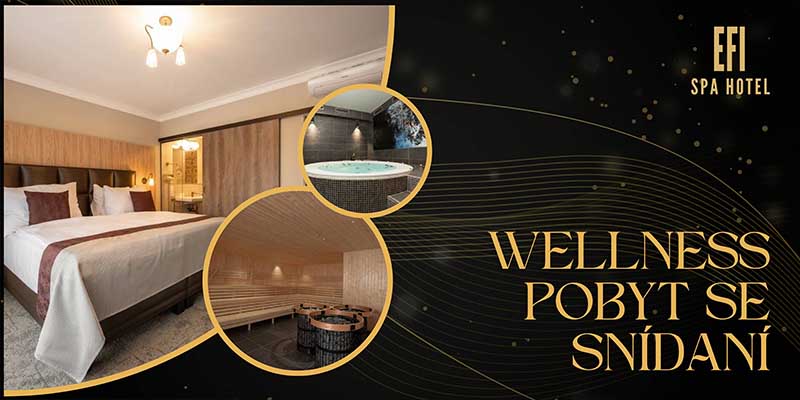 EFI SPA Hotel - pobyt wellness na 1 noc ze śniadaniem dla 2 osób
